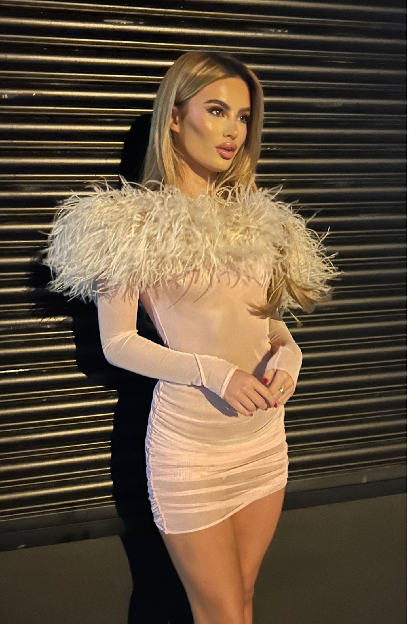 JORDANNA DRESS - FEATHER