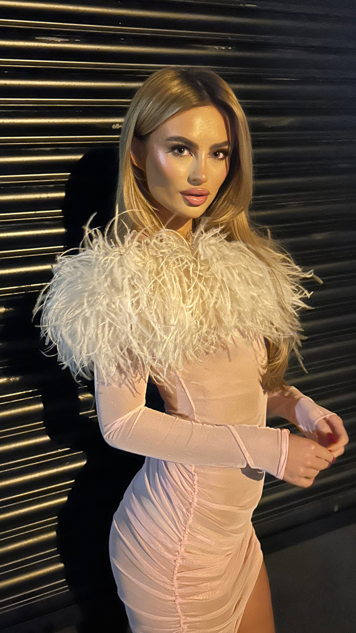 JORDANNA DRESS - FEATHER