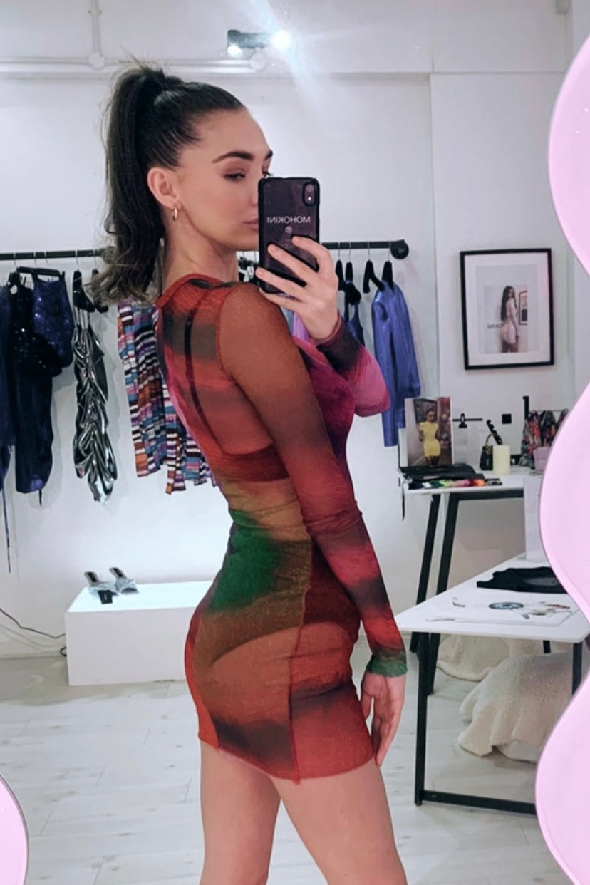 HAILEY LONG SLEEVE BODY CON DRESS - MESH AGATHA PRINT